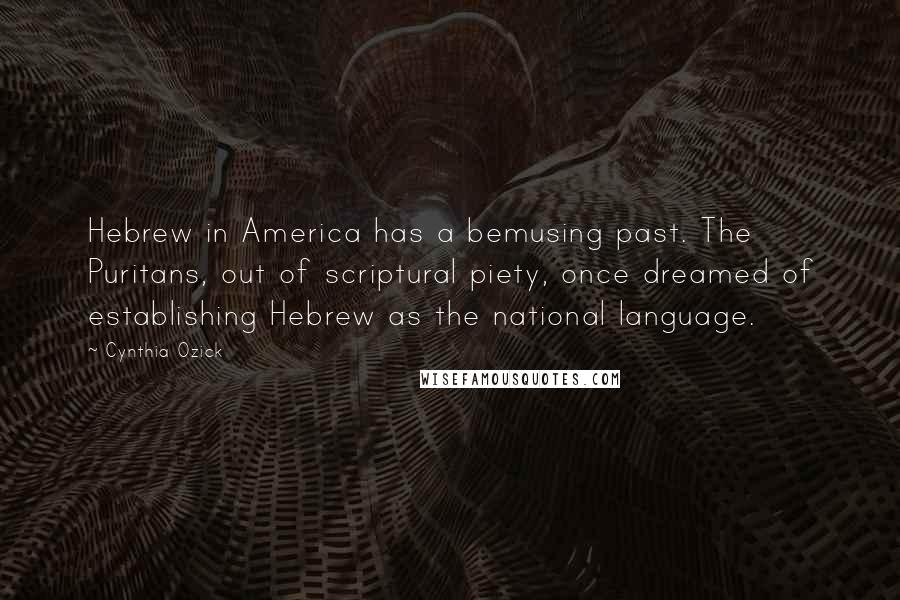 Cynthia Ozick Quotes: Hebrew in America has a bemusing past. The Puritans, out of scriptural piety, once dreamed of establishing Hebrew as the national language.