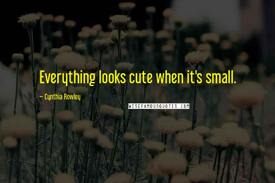 Cynthia Rowley Quotes: Everything looks cute when it's small.