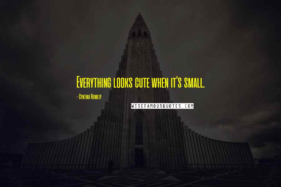 Cynthia Rowley Quotes: Everything looks cute when it's small.