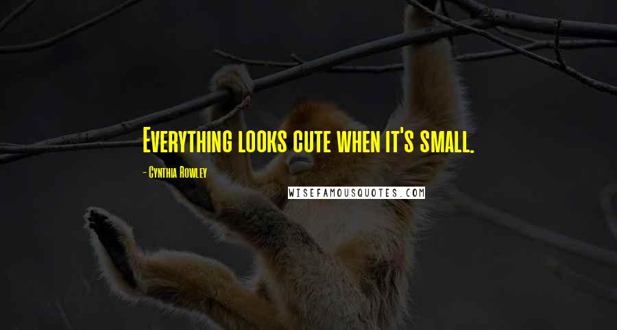 Cynthia Rowley Quotes: Everything looks cute when it's small.