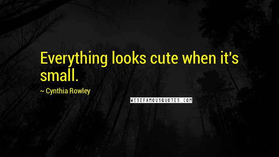 Cynthia Rowley Quotes: Everything looks cute when it's small.