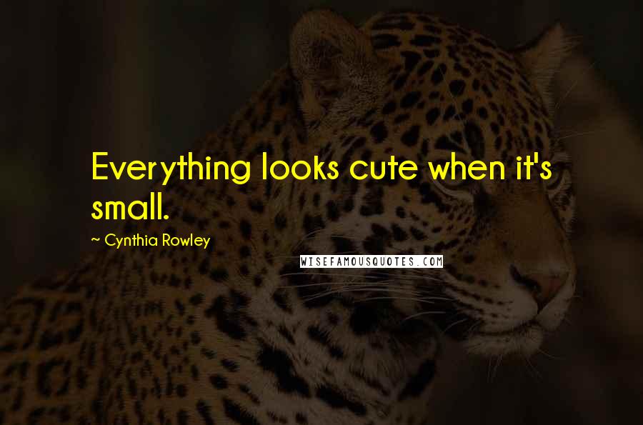 Cynthia Rowley Quotes: Everything looks cute when it's small.