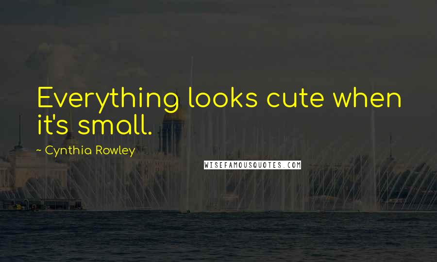 Cynthia Rowley Quotes: Everything looks cute when it's small.