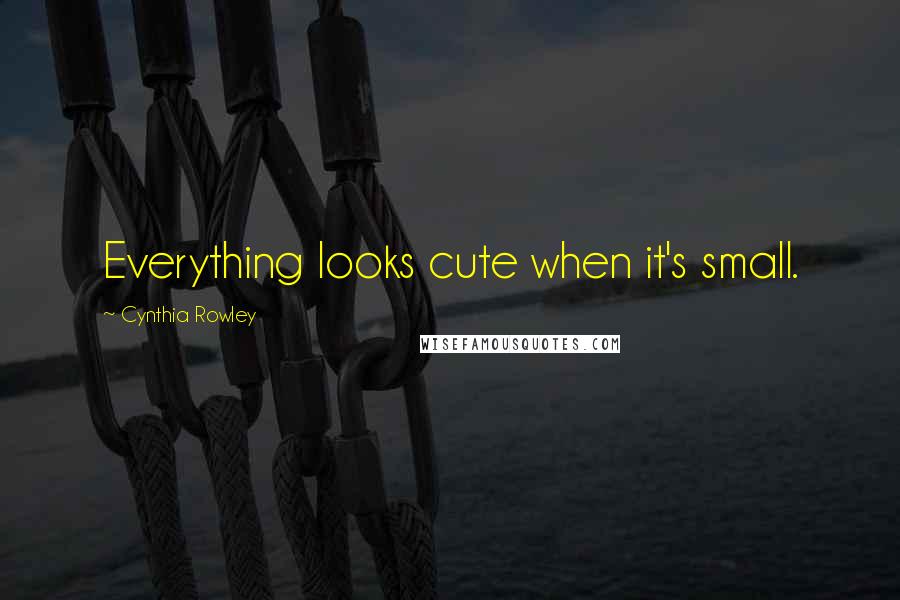 Cynthia Rowley Quotes: Everything looks cute when it's small.