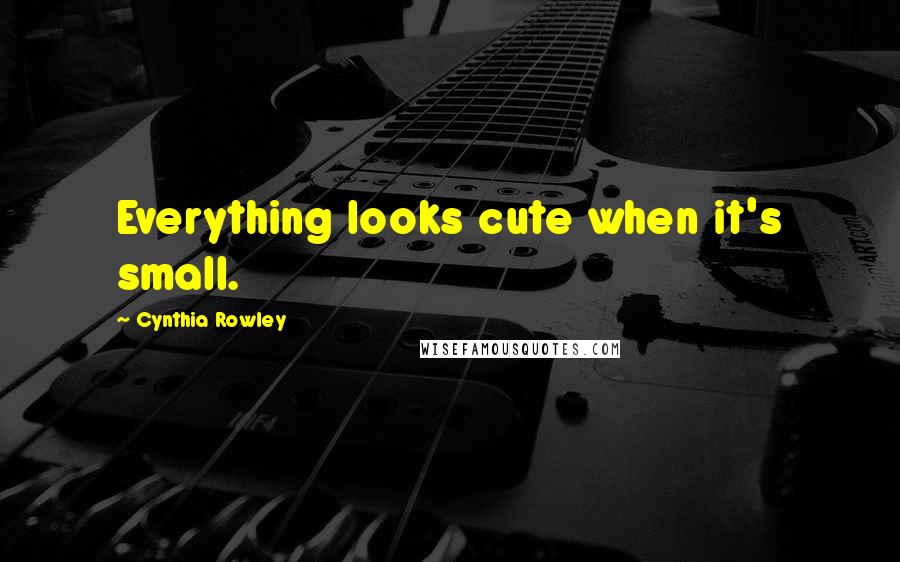 Cynthia Rowley Quotes: Everything looks cute when it's small.