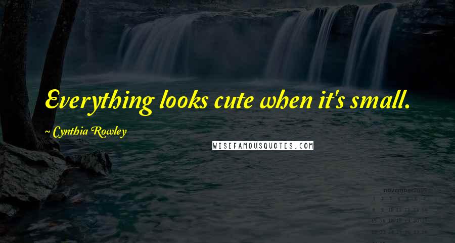 Cynthia Rowley Quotes: Everything looks cute when it's small.