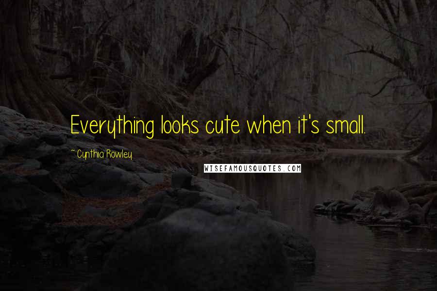 Cynthia Rowley Quotes: Everything looks cute when it's small.