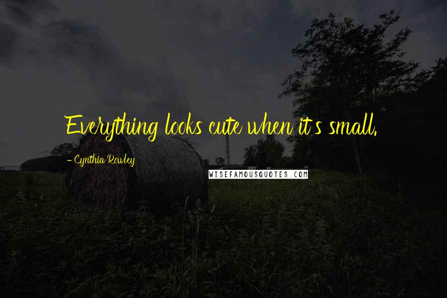 Cynthia Rowley Quotes: Everything looks cute when it's small.