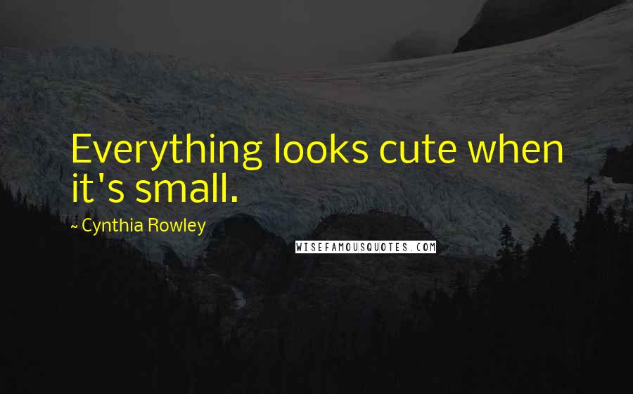 Cynthia Rowley Quotes: Everything looks cute when it's small.