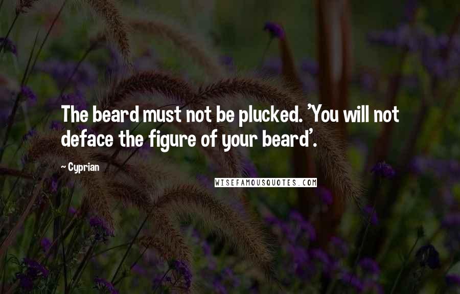 Cyprian Quotes: The beard must not be plucked. 'You will not deface the figure of your beard'.