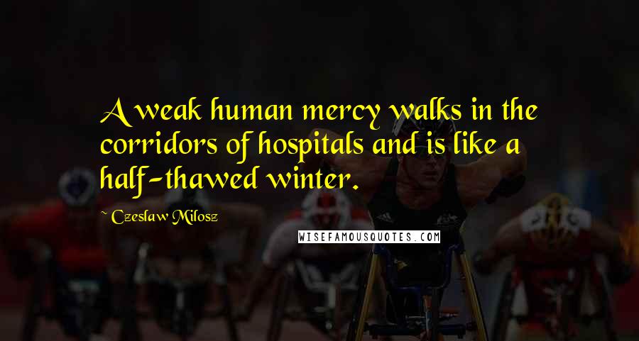 Czeslaw Milosz Quotes: A weak human mercy walks in the corridors of hospitals and is like a half-thawed winter.