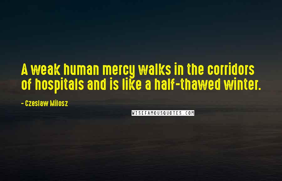 Czeslaw Milosz Quotes: A weak human mercy walks in the corridors of hospitals and is like a half-thawed winter.
