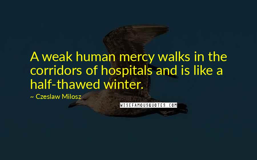 Czeslaw Milosz Quotes: A weak human mercy walks in the corridors of hospitals and is like a half-thawed winter.