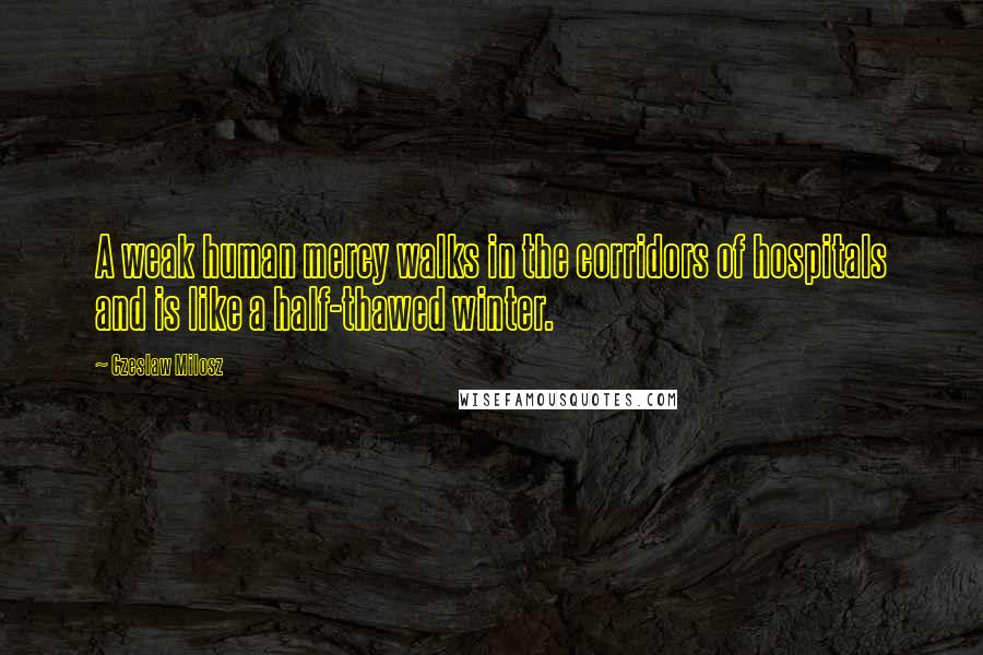 Czeslaw Milosz Quotes: A weak human mercy walks in the corridors of hospitals and is like a half-thawed winter.