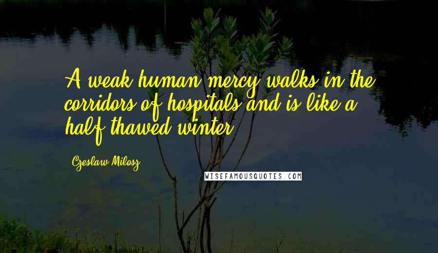 Czeslaw Milosz Quotes: A weak human mercy walks in the corridors of hospitals and is like a half-thawed winter.