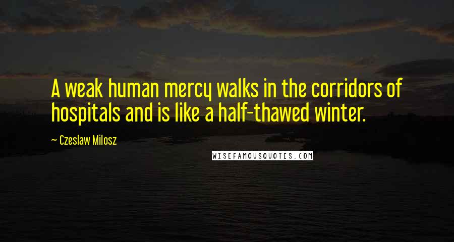 Czeslaw Milosz Quotes: A weak human mercy walks in the corridors of hospitals and is like a half-thawed winter.