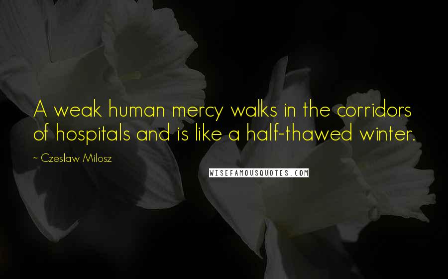 Czeslaw Milosz Quotes: A weak human mercy walks in the corridors of hospitals and is like a half-thawed winter.