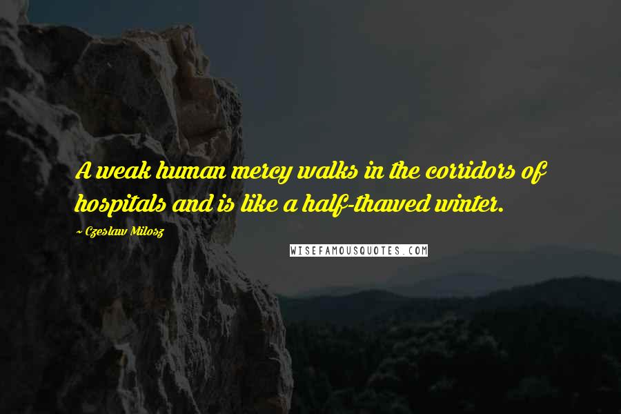 Czeslaw Milosz Quotes: A weak human mercy walks in the corridors of hospitals and is like a half-thawed winter.