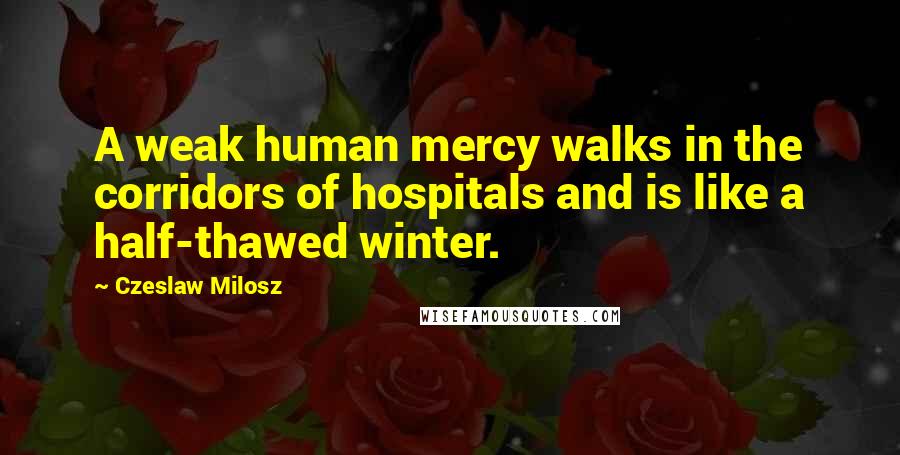 Czeslaw Milosz Quotes: A weak human mercy walks in the corridors of hospitals and is like a half-thawed winter.