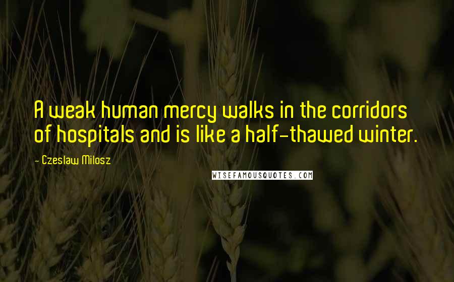 Czeslaw Milosz Quotes: A weak human mercy walks in the corridors of hospitals and is like a half-thawed winter.