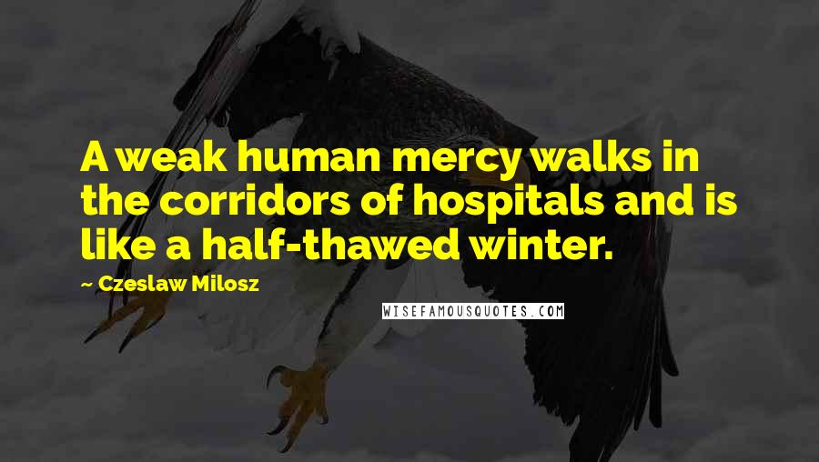 Czeslaw Milosz Quotes: A weak human mercy walks in the corridors of hospitals and is like a half-thawed winter.