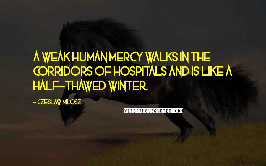 Czeslaw Milosz Quotes: A weak human mercy walks in the corridors of hospitals and is like a half-thawed winter.