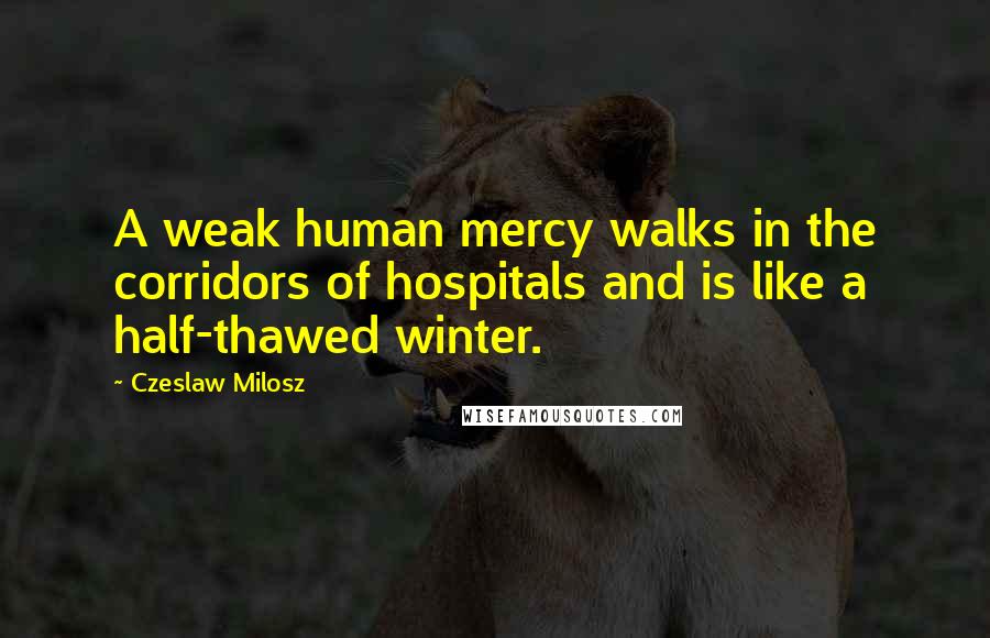 Czeslaw Milosz Quotes: A weak human mercy walks in the corridors of hospitals and is like a half-thawed winter.