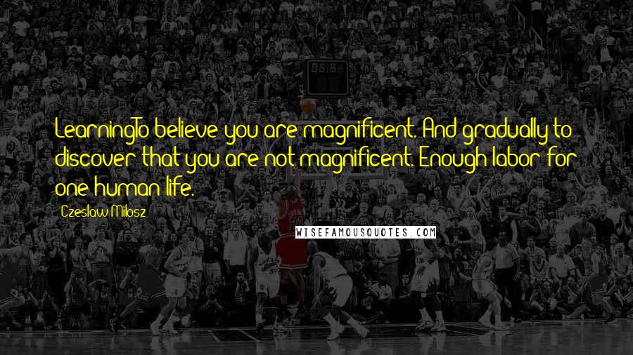 Czeslaw Milosz Quotes: LearningTo believe you are magnificent. And gradually to discover that you are not magnificent. Enough labor for one human life.