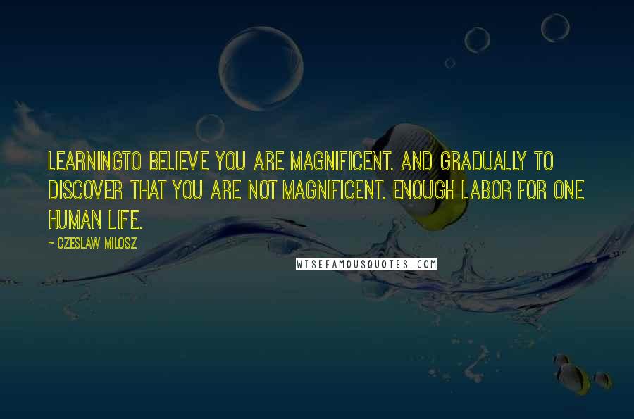 Czeslaw Milosz Quotes: LearningTo believe you are magnificent. And gradually to discover that you are not magnificent. Enough labor for one human life.