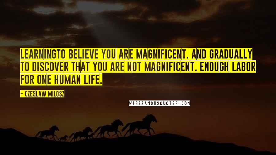 Czeslaw Milosz Quotes: LearningTo believe you are magnificent. And gradually to discover that you are not magnificent. Enough labor for one human life.