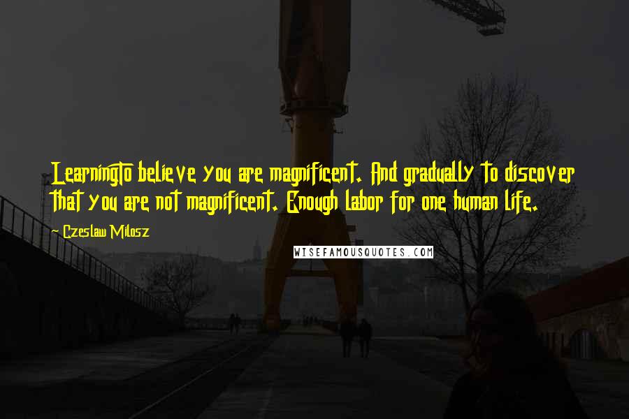 Czeslaw Milosz Quotes: LearningTo believe you are magnificent. And gradually to discover that you are not magnificent. Enough labor for one human life.