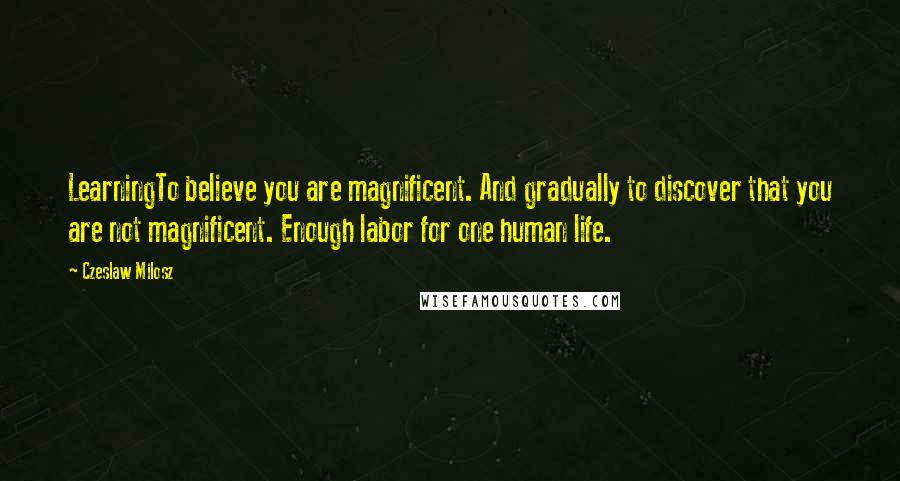 Czeslaw Milosz Quotes: LearningTo believe you are magnificent. And gradually to discover that you are not magnificent. Enough labor for one human life.