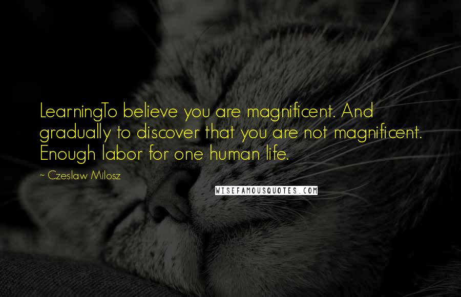 Czeslaw Milosz Quotes: LearningTo believe you are magnificent. And gradually to discover that you are not magnificent. Enough labor for one human life.