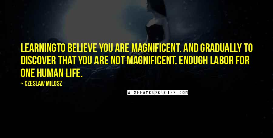 Czeslaw Milosz Quotes: LearningTo believe you are magnificent. And gradually to discover that you are not magnificent. Enough labor for one human life.