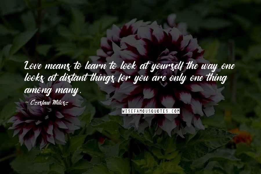 Czeslaw Milosz Quotes: Love means to learn to look at yourself the way one looks at distant things for you are only one thing among many.