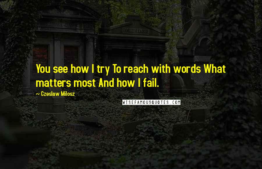 Czeslaw Milosz Quotes: You see how I try To reach with words What matters most And how I fail.