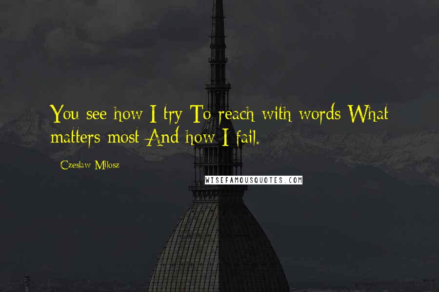 Czeslaw Milosz Quotes: You see how I try To reach with words What matters most And how I fail.