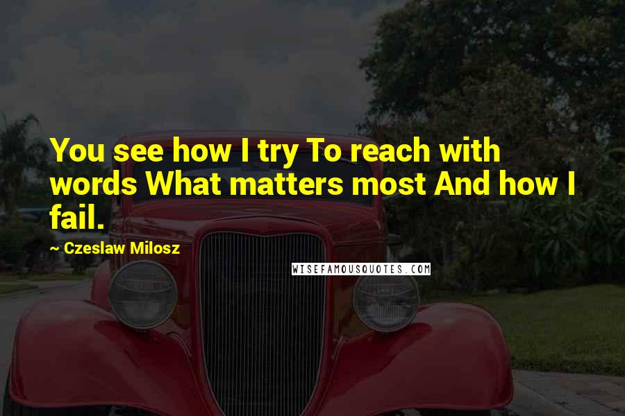 Czeslaw Milosz Quotes: You see how I try To reach with words What matters most And how I fail.