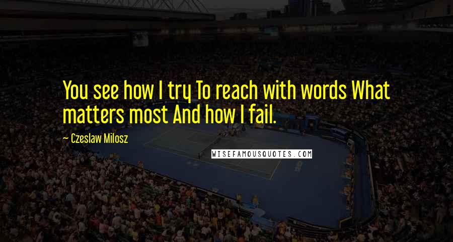 Czeslaw Milosz Quotes: You see how I try To reach with words What matters most And how I fail.