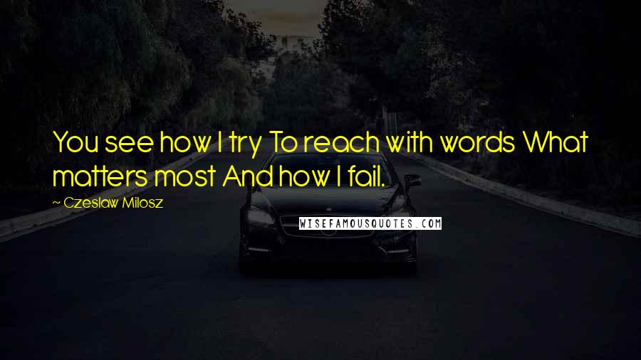 Czeslaw Milosz Quotes: You see how I try To reach with words What matters most And how I fail.