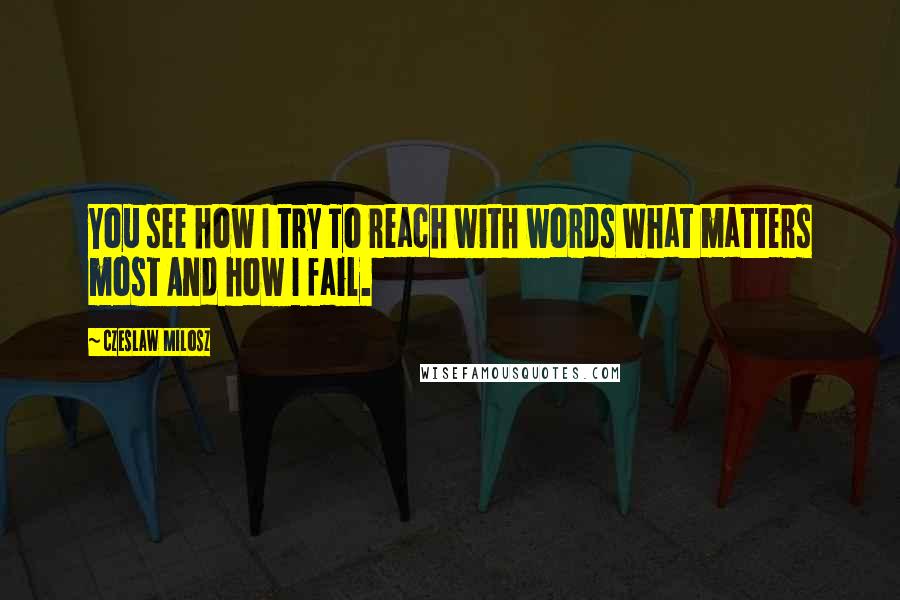 Czeslaw Milosz Quotes: You see how I try To reach with words What matters most And how I fail.