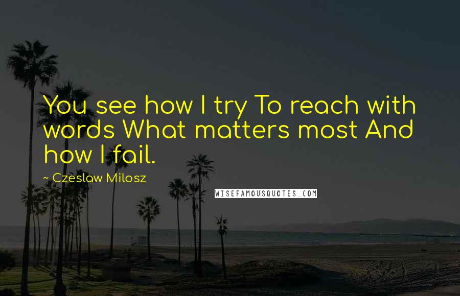 Czeslaw Milosz Quotes: You see how I try To reach with words What matters most And how I fail.