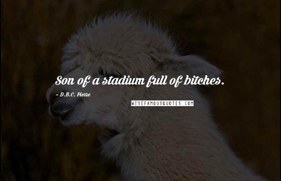 D.B.C. Pierre Quotes: Son of a stadium full of bitches.