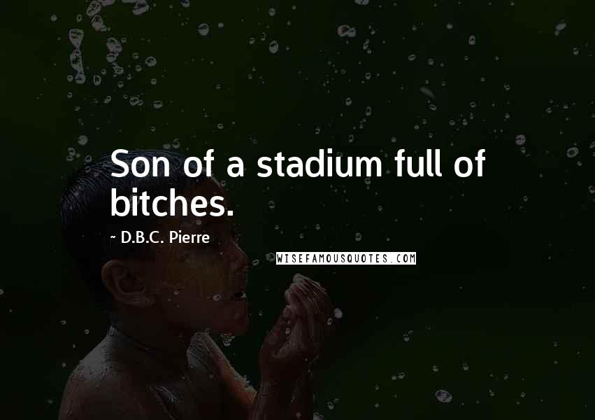 D.B.C. Pierre Quotes: Son of a stadium full of bitches.