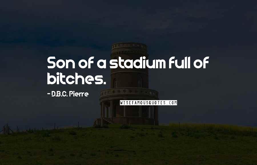 D.B.C. Pierre Quotes: Son of a stadium full of bitches.