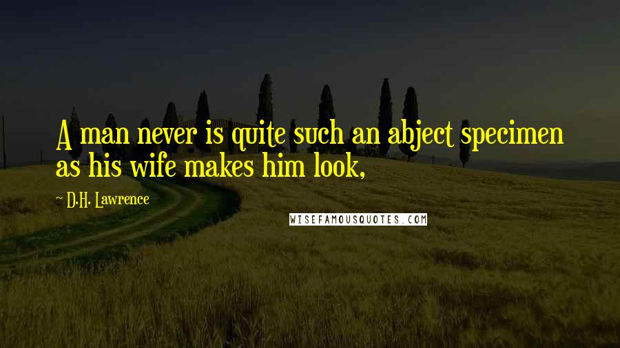 D.H. Lawrence Quotes: A man never is quite such an abject specimen as his wife makes him look,