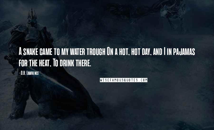 D.H. Lawrence Quotes: A snake came to my water trough On a hot, hot day, and I in pajamas for the heat, To drink there.