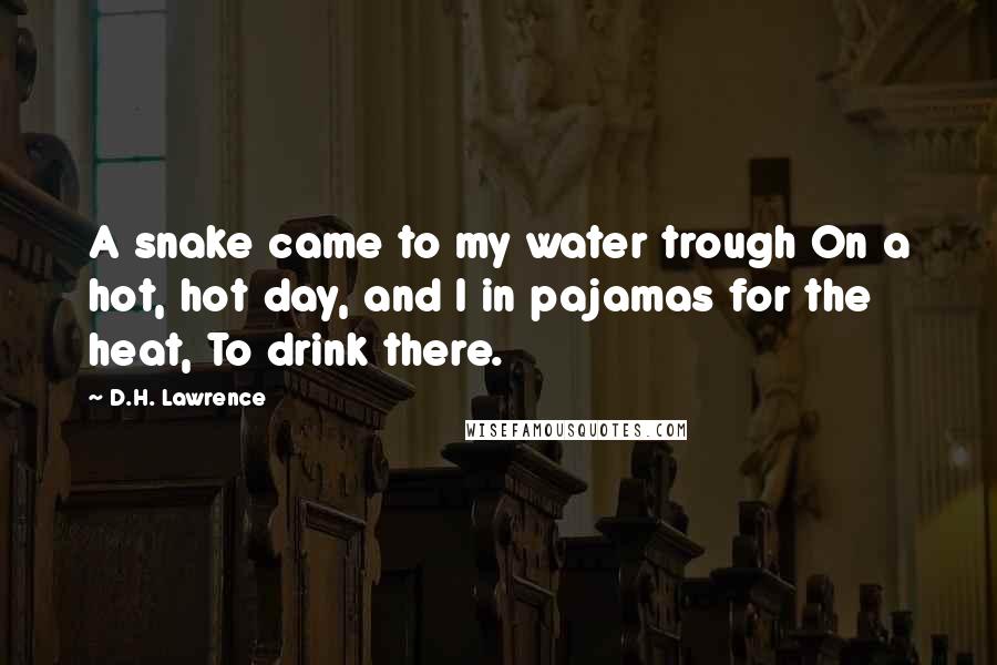 D.H. Lawrence Quotes: A snake came to my water trough On a hot, hot day, and I in pajamas for the heat, To drink there.