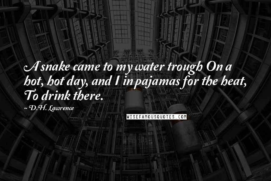 D.H. Lawrence Quotes: A snake came to my water trough On a hot, hot day, and I in pajamas for the heat, To drink there.