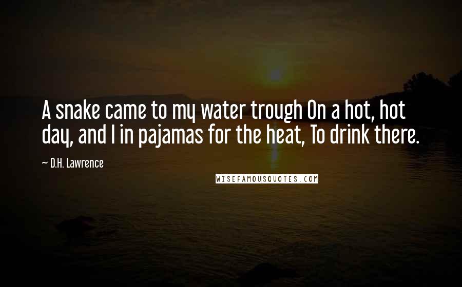 D.H. Lawrence Quotes: A snake came to my water trough On a hot, hot day, and I in pajamas for the heat, To drink there.